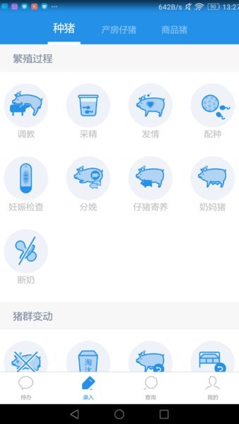 慧养猪2024