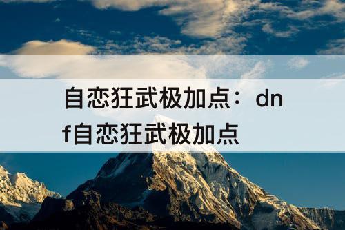 自恋狂武极加点：dnf自恋狂武极加点