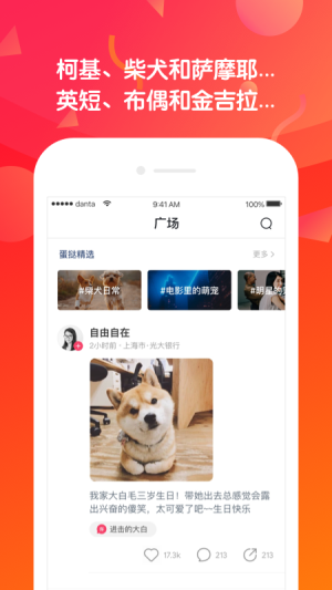 蛋挞短视频2024