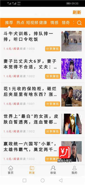 金竹网2023