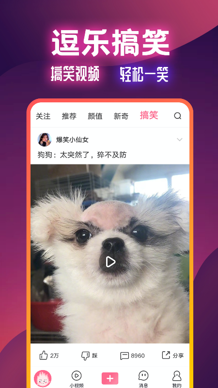 火苗视频app