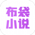 布袋小说阅读