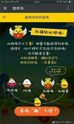 趣养鸡赚钱软件截图