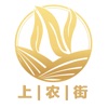 上农街2024