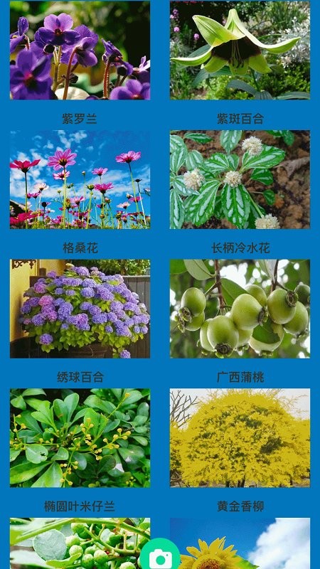 神农百草园艺2024