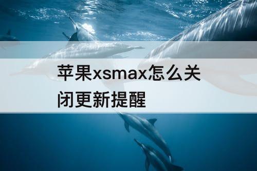 苹果xsmax怎么关闭更新提醒