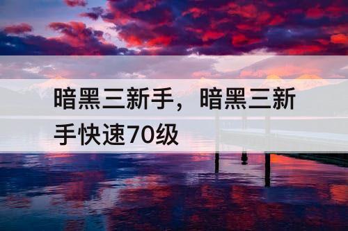 暗黑三新手，暗黑三新手快速70级