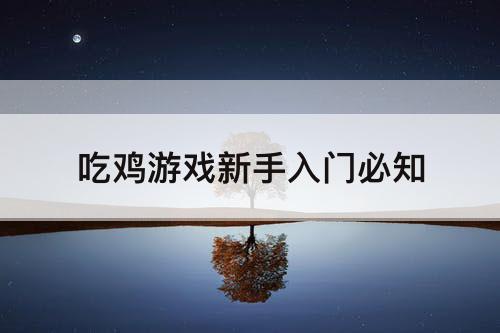 吃鸡游戏新手入门必知