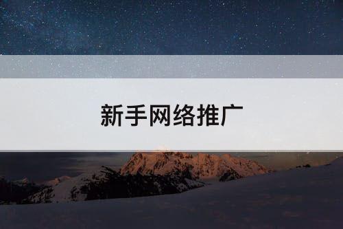 新手网络推广