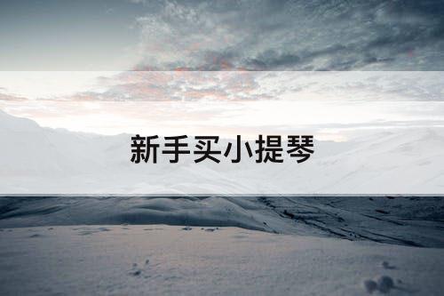新手买小提琴