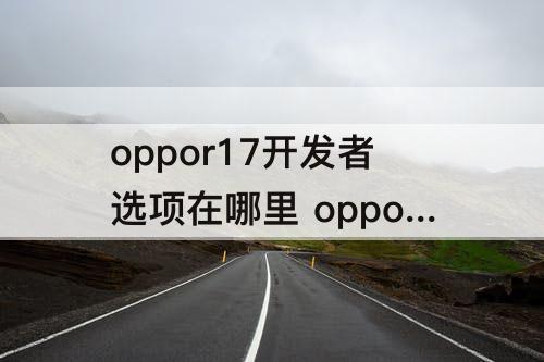 oppor17开发者选项在哪里 oppor17开发者选项在哪里设置?