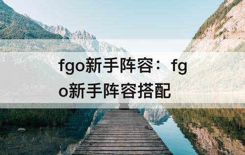 fgo新手阵容：fgo新手阵容搭配