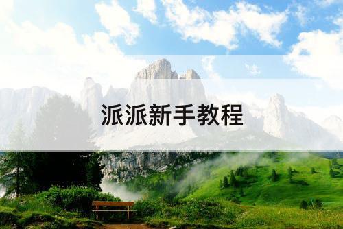 派派新手教程