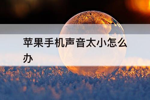 苹果手机声音太小怎么办