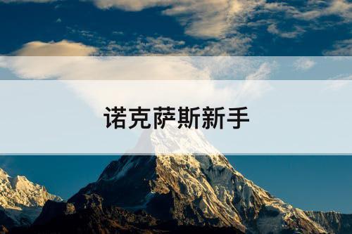 诺克萨斯新手