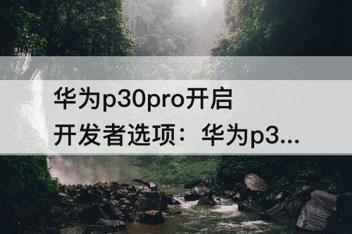 华为p30pro开启开发者选项：华为p30pro开启开发者选项会发生什么