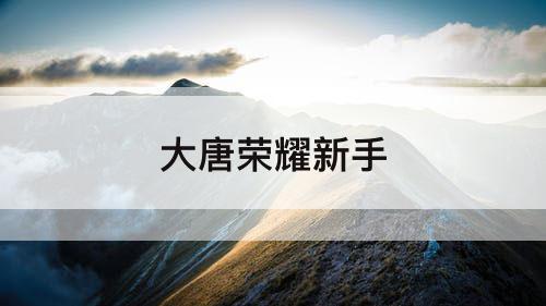 大唐荣耀新手