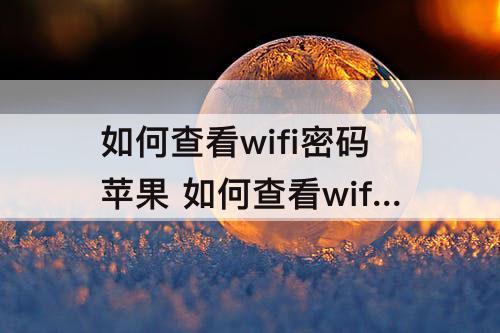 如何查看wifi密码苹果 如何查看wifi密码苹果平板