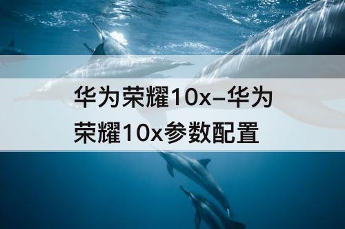 华为荣耀10x-华为荣耀10x参数配置