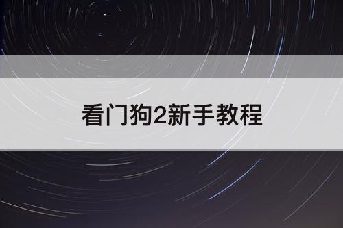 看门狗2新手教程