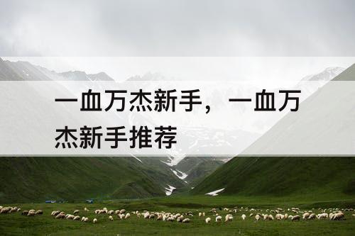 一血万杰新手，一血万杰新手推荐