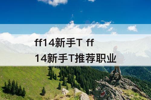 ff14新手T ff14新手T推荐职业