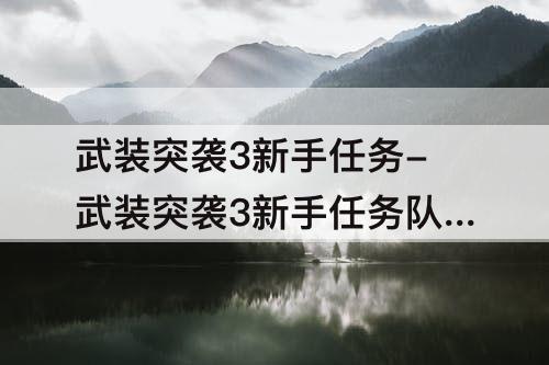武装突袭3新手任务-武装突袭3新手任务队长老是叫我拿着地图