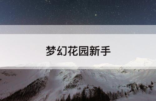 梦幻花园新手