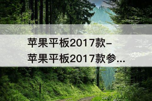 苹果平板2017款-苹果平板2017款参数32G