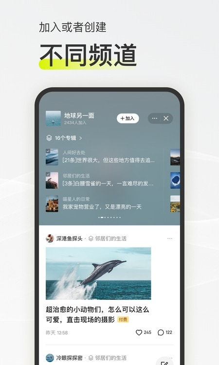 迷岛社交2024