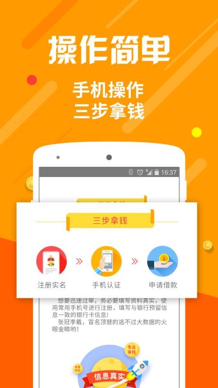 闪电借款2024截图