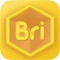 Bricube学生版