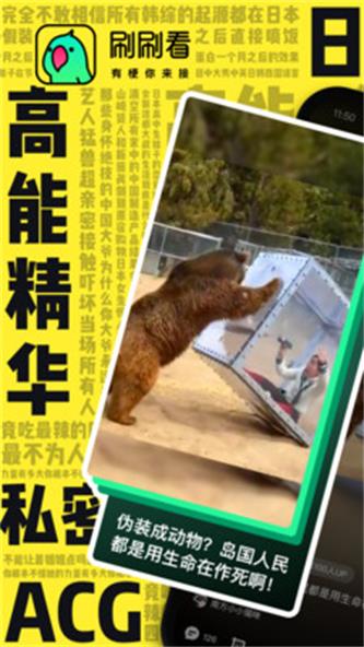 刷刷看红包
