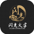 闪光文学绝品女婿免费阅读