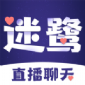 迷鹭聊天最新版