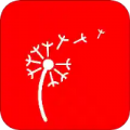 蒲公英读书免费版