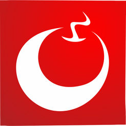 长武人