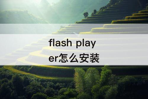 flash player怎么安装
