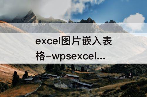 excel图片嵌入表格-wpsexcel图片嵌入表格后为代码