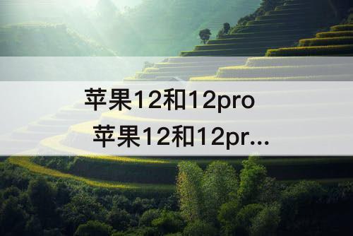 苹果12和12pro 苹果12和12pro配置参数表