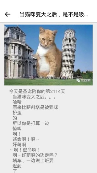宝贝宠物手机版下载最新版安装苹果版截图