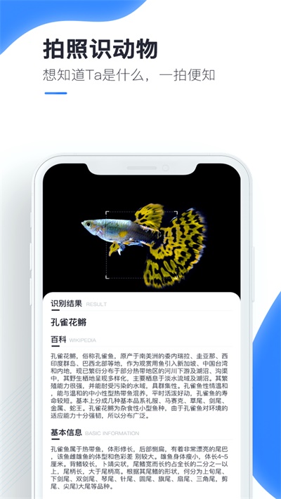 百科扫描王免费下载安装苹果版手机
