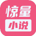 惊量小说最新版在线阅读全文下载百度网盘