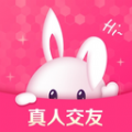 花兔交友安卓版