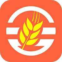 金稻草手机版官网下载安装苹果版app
