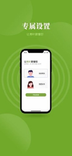 青叶小说2024