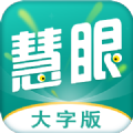 灵动慧眼大字版下载安装最新版本官网手机