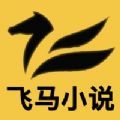 飞马小说网最新版下载免费