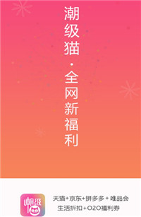 潮级猫截图