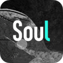 soul软件下载安装